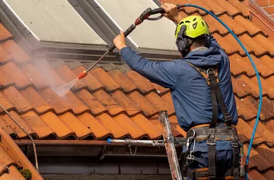 Démoussage et hydrofuge de toiture à Mollau
